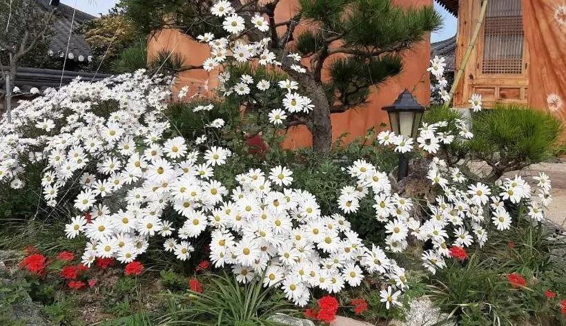 Majatalo Naju Yoonsunjae Stay