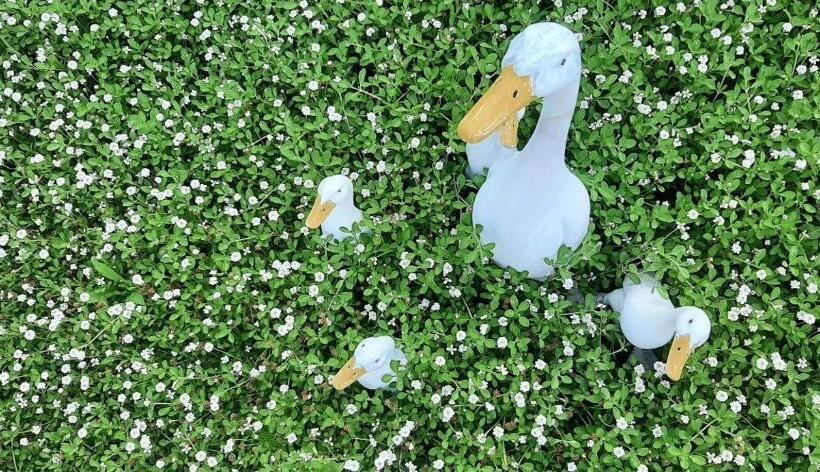 膳宿费 Naju Yoonsunjae Stay