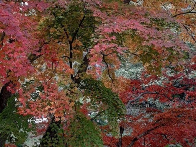 膳宿费 Naju Yoonsunjae Stay