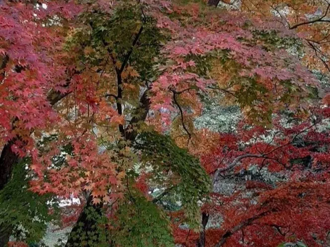 Majatalo Naju Yoonsunjae Stay