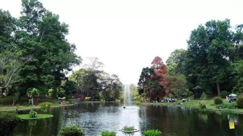 Szálloda Rose Villa Cipanas