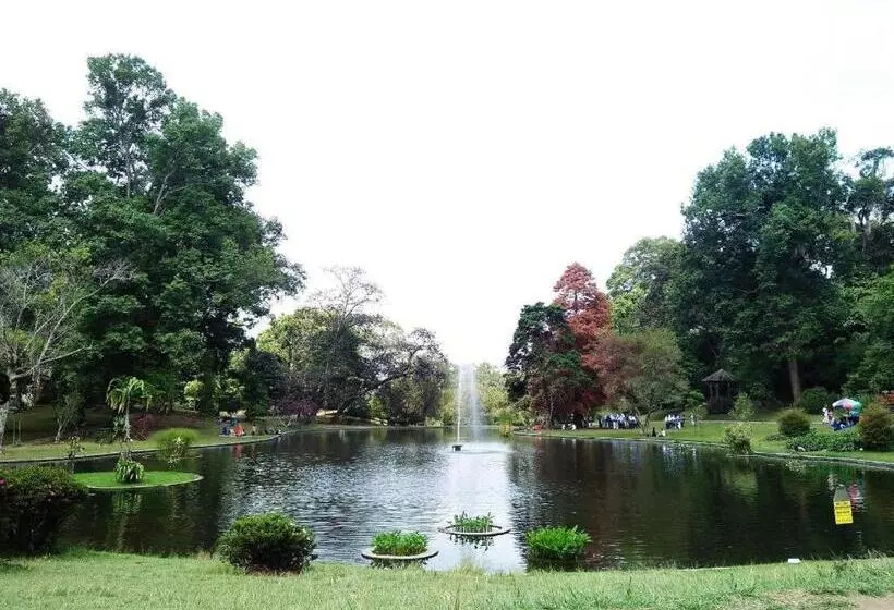 Szálloda Rose Villa Cipanas