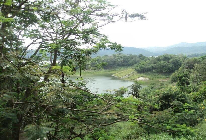 Отель Rest House   Teldeniya