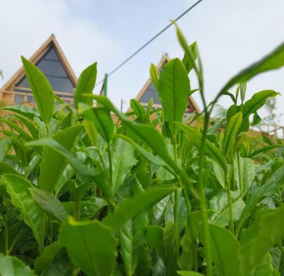 فندق Yedek Hesap