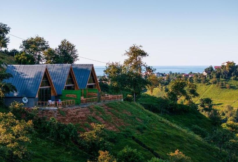 فندق Yedek Hesap