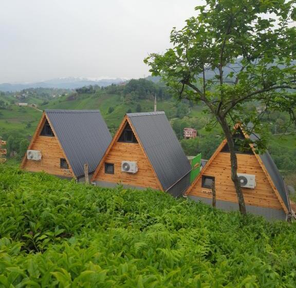 فندق Yedek Hesap