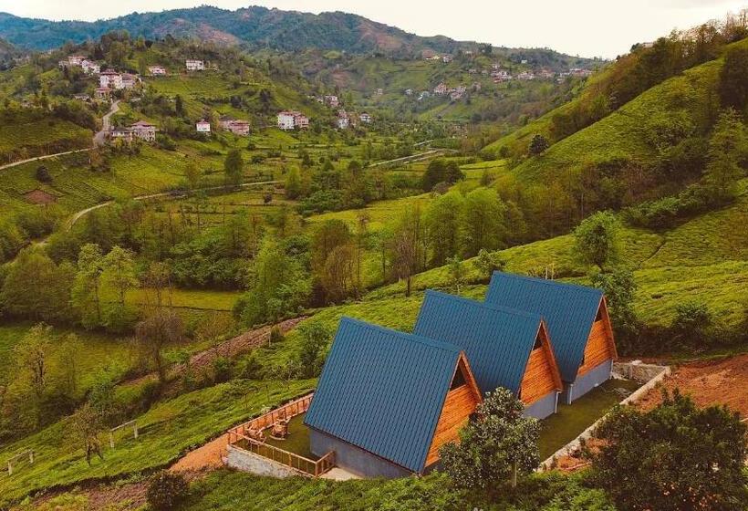 فندق Yedek Hesap