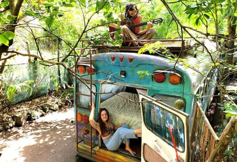 Rainbow Caravan Hostel