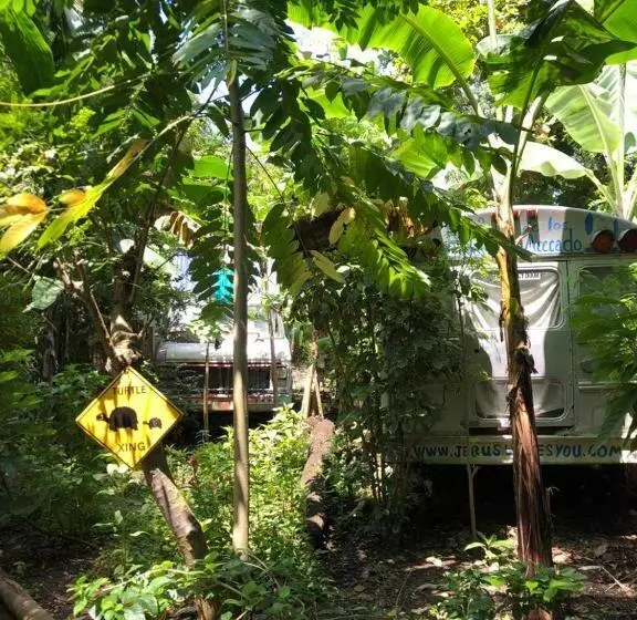 Rainbow Caravan Hostel