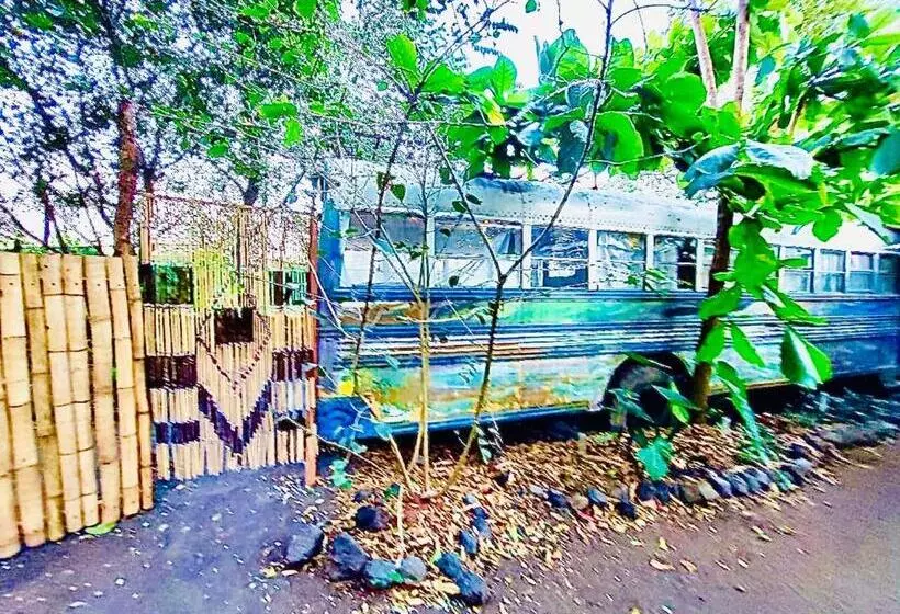 Rainbow Caravan Hostel