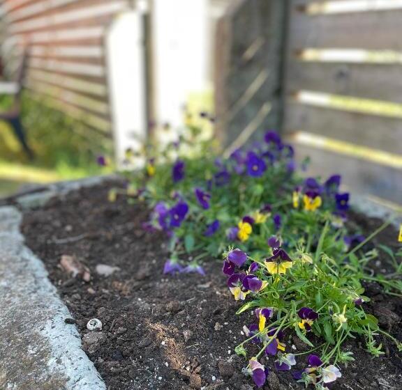 Vandrarhemmet ölands Skogsby