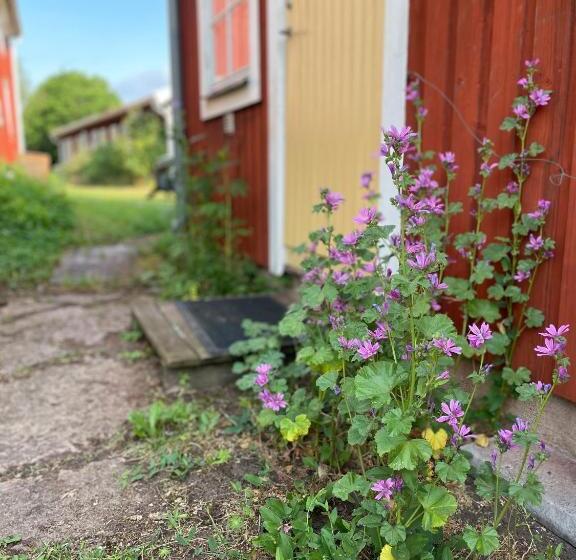 Vandrarhemmet ölands Skogsby