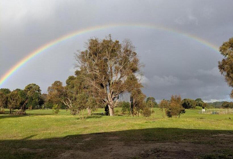 צימר Australian Wildlife At Your Door
