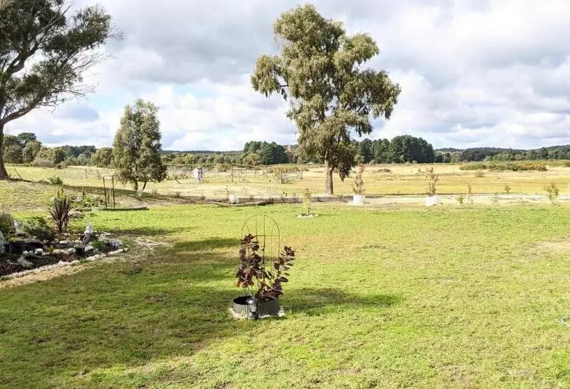 ベッドアンドブレックファースト Australian Wildlife At Your Door