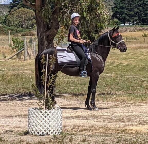 צימר Australian Wildlife At Your Door