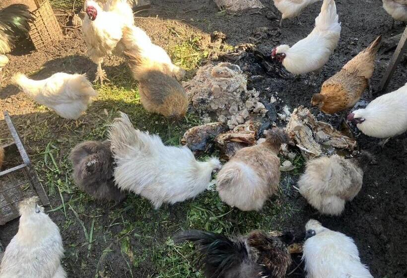 פנסיון Akano House, An Inn Of Katarai Vacation Stay 10702