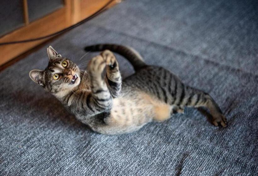 פנסיון Akano House, An Inn Of Katarai Vacation Stay 10702