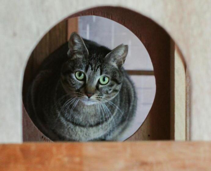 פנסיון Akano House, An Inn Of Katarai Vacation Stay 10702