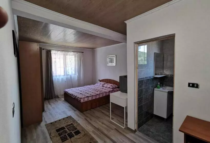 ペンション Casa De Vacanta Constantin