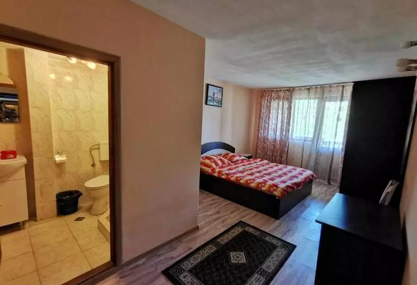 ペンション Casa De Vacanta Constantin