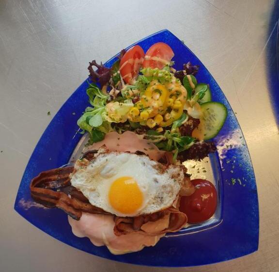 فندق صغير Gästehaus Geigenbauer