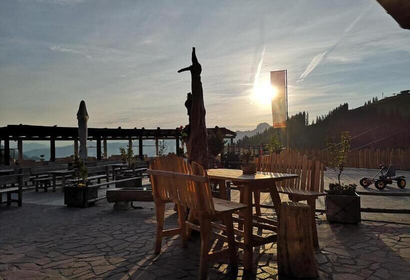 Отель Gehwolfalm Berg