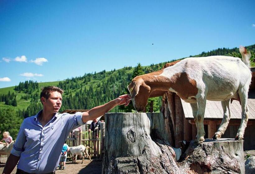 Отель Gehwolfalm Berg