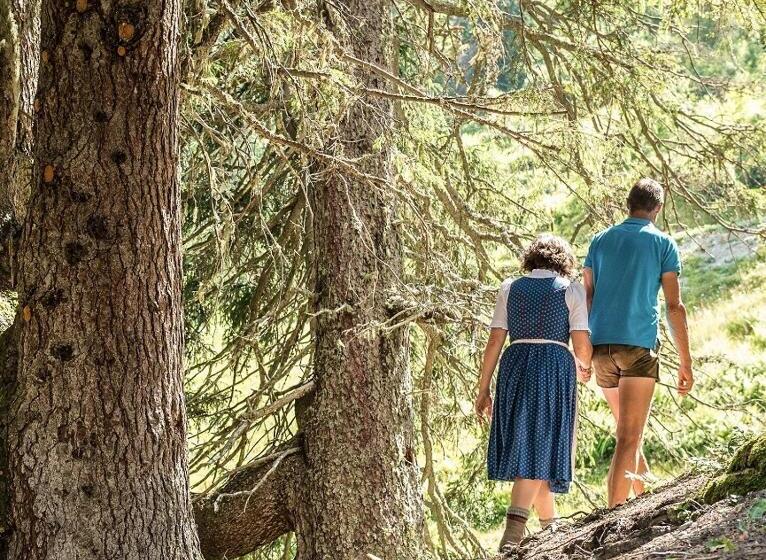 Отель Gehwolfalm Berg