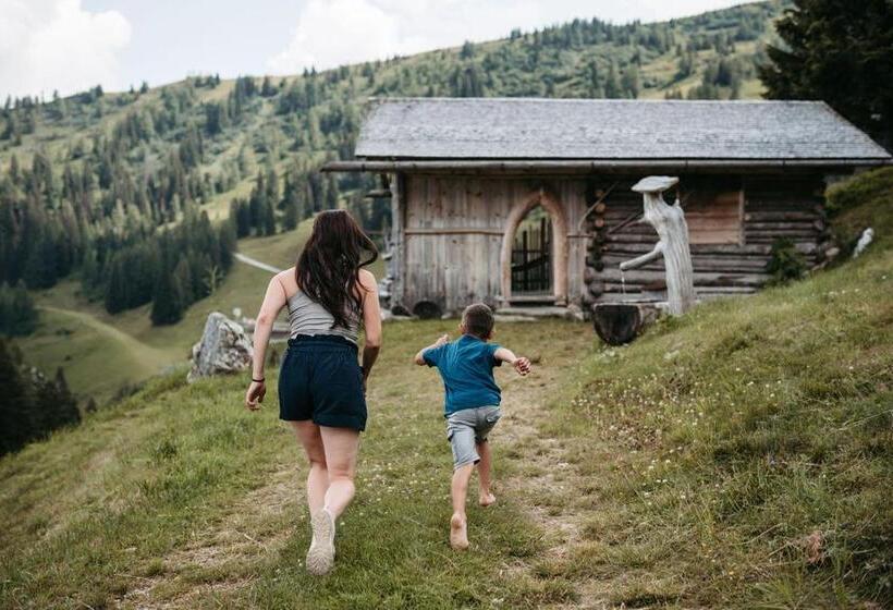 Отель Gehwolfalm Berg