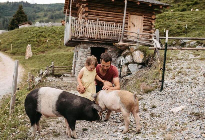 Отель Gehwolfalm Berg