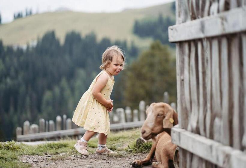 Отель Gehwolfalm Berg