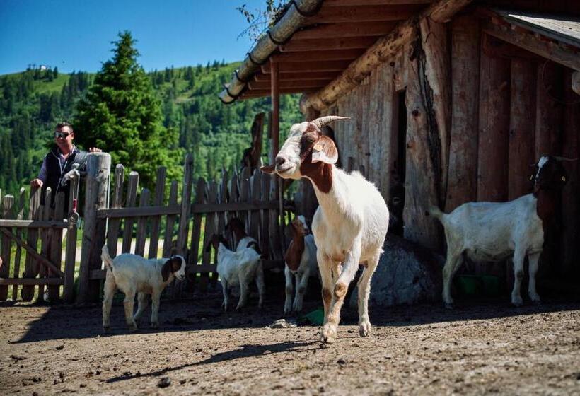 Отель Gehwolfalm Berg