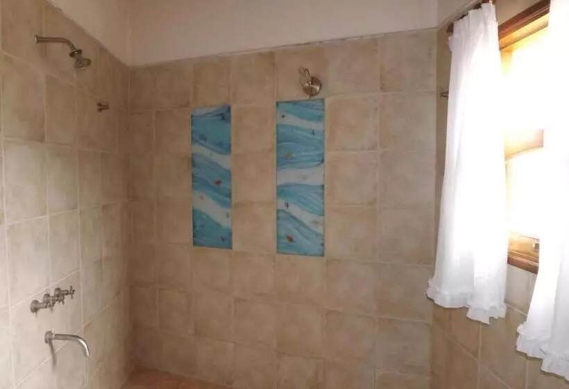 New Host Hostel