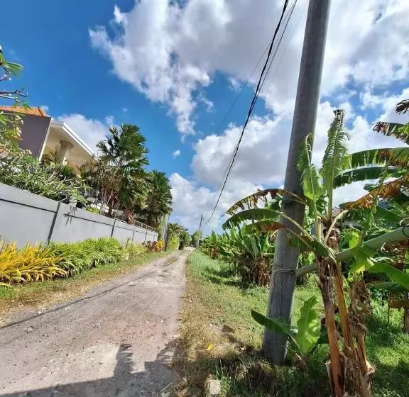 Majatalo Bonewood Guesthouse