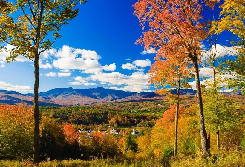 Resort 1122 Guest Room The Pines Lodge At Spruce Peak Ski In Ski Out