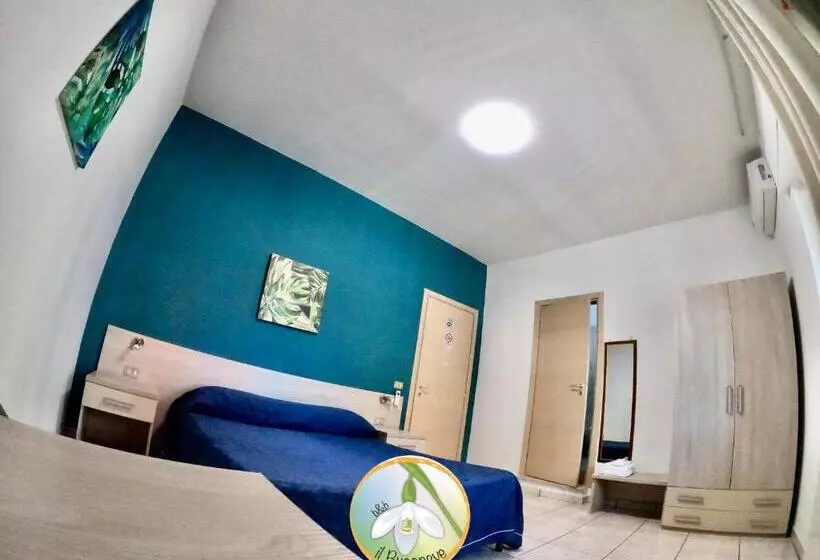 B&b Il Bucaneve