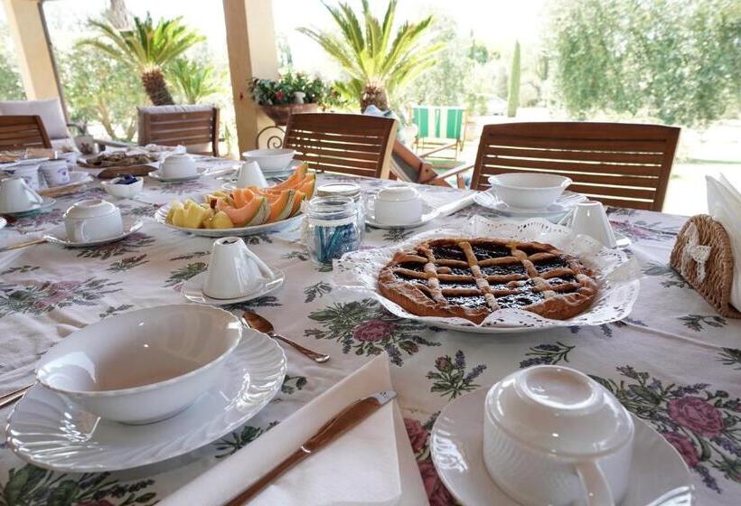 تختخواب و صبحانه Casa Degli Ulivi