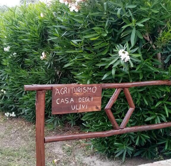 تختخواب و صبحانه Casa Degli Ulivi