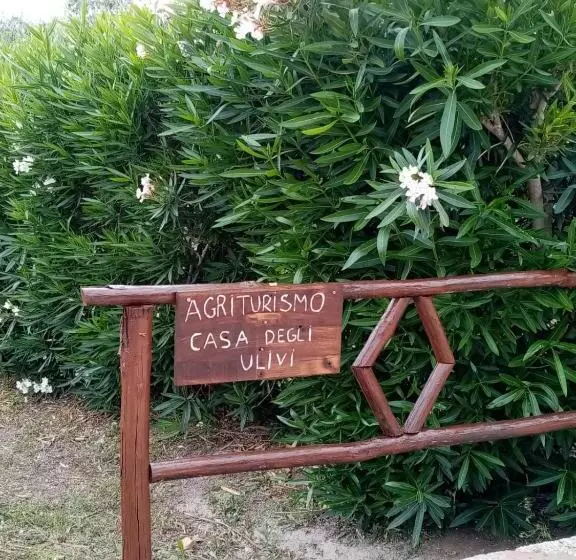 ベッドアンドブレックファースト Casa Degli Ulivi