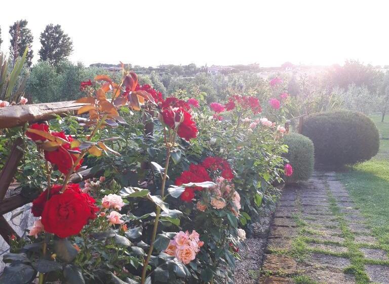 تختخواب و صبحانه Casa Degli Ulivi