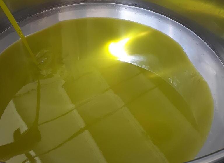 تختخواب و صبحانه Casa Degli Ulivi