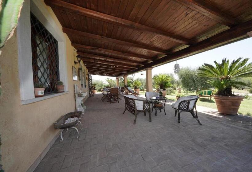 تختخواب و صبحانه Casa Degli Ulivi