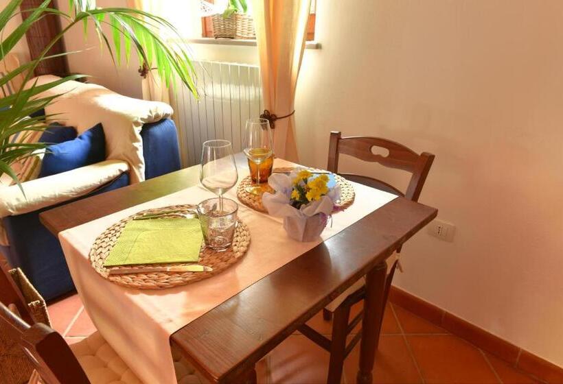 Отель Agriturismo Il Piaggione