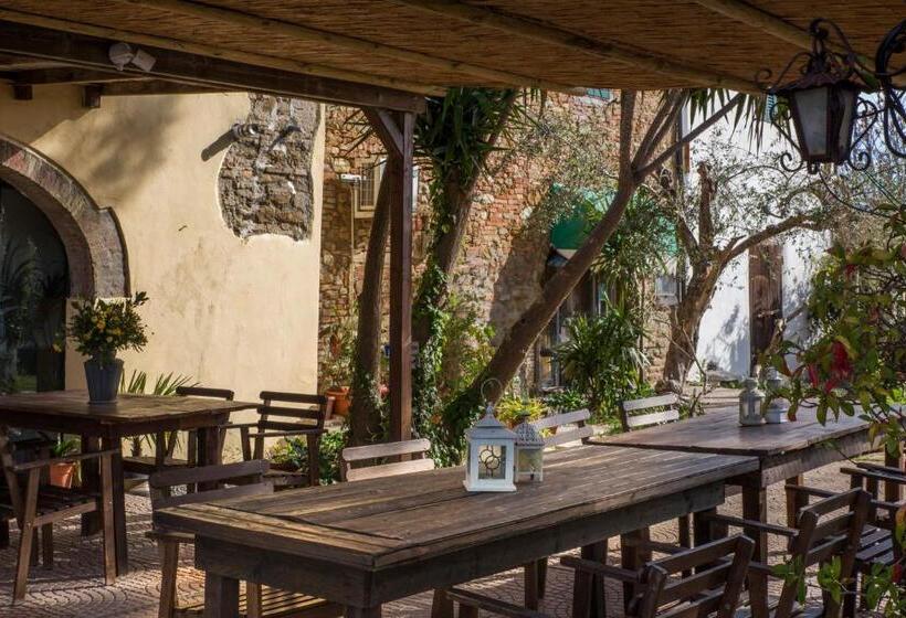 호텔 Agriturismo Pane E Vino