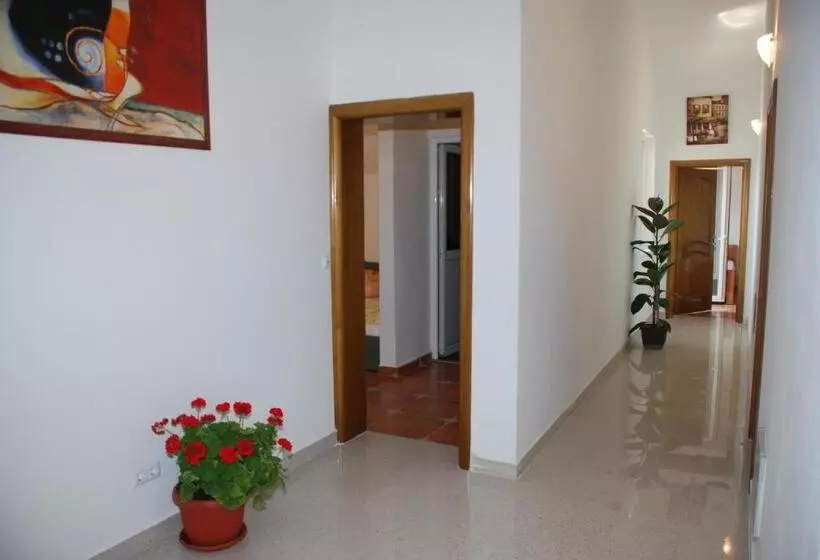 پانسیون Guest House Nura