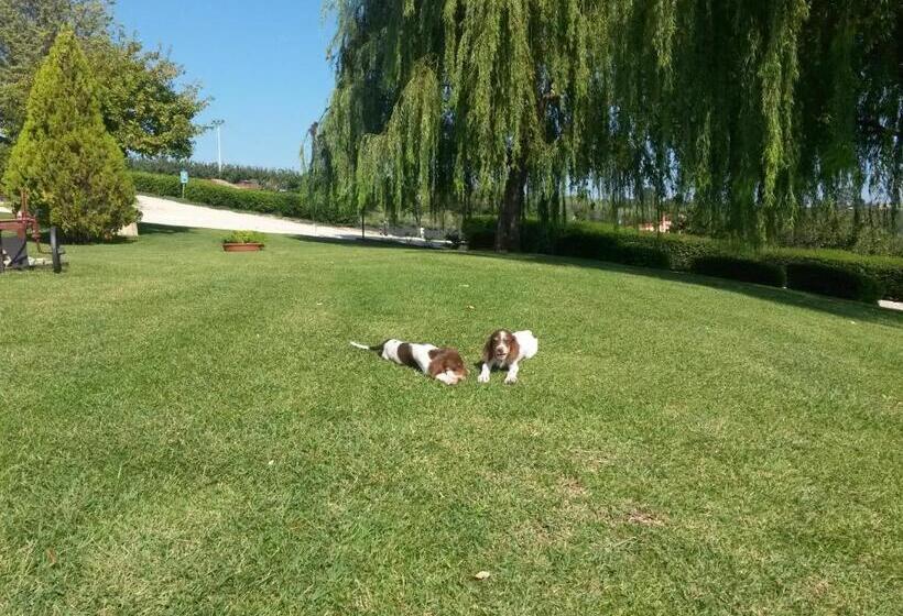 Пансион Masseria La Guardata