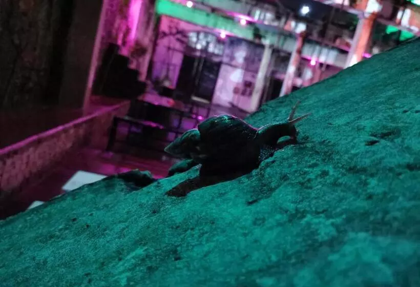 Hotel Bat & Arrow