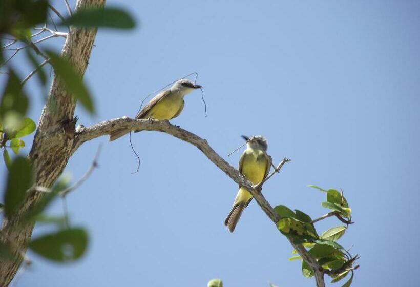 تختخواب و صبحانه Serenity Sands