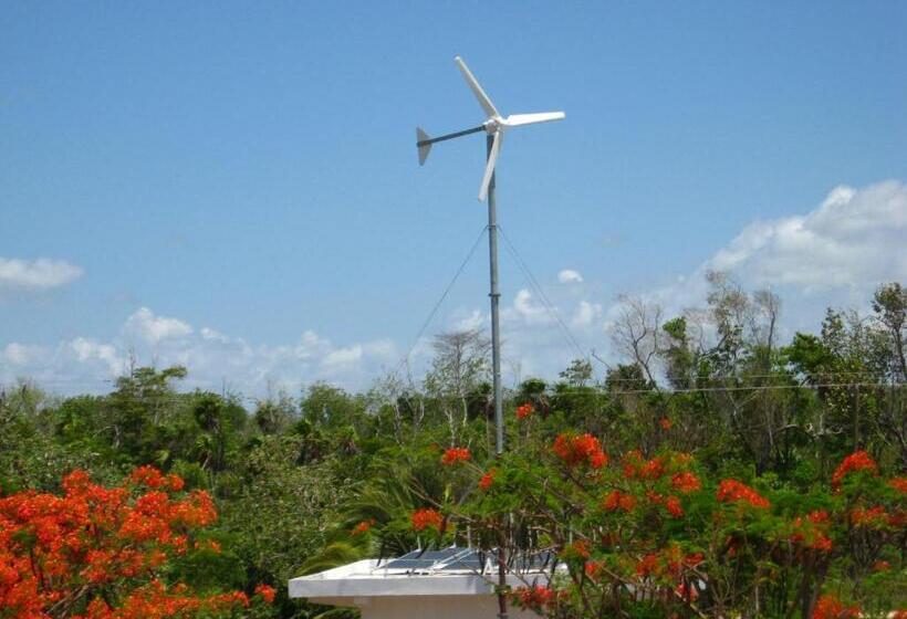 تختخواب و صبحانه Serenity Sands