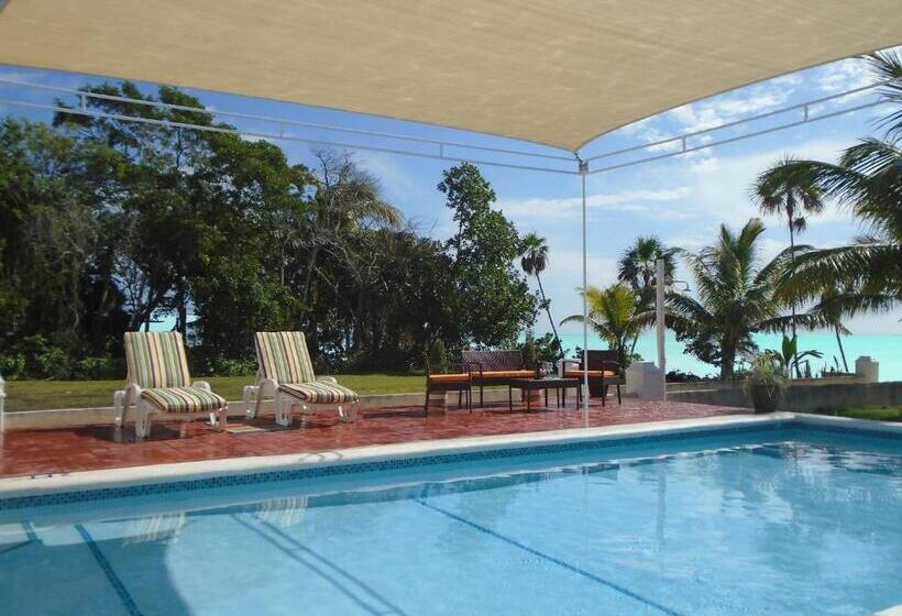 تختخواب و صبحانه Serenity Sands